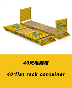 高鼎特種柜-40尺框架柜